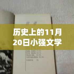 探秘小巷深处的文学宝藏,历史上的11月20日小强文学网最新更新