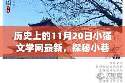 探秘小巷深处的文学宝藏,历史上的11月20日小强文学网最新更新