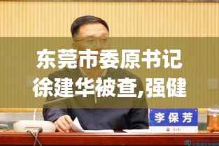 东莞市委原书记徐建华被查,强健解答解释落实_VCG7.28.53仿真版