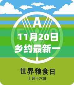 乡约新篇章,11月20日温馨日常纪实