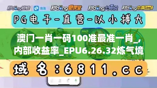 澳门一肖一码100准最准一肖_,内部收益率_EPU6.26.32炼气境