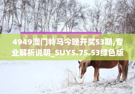 4949澳门特马今晚开奖53期,专业解析说明_SUY5.75.53绿色版