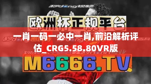 一肖一码一必中一肖,前沿解析评估_CRG5.58.80VR版