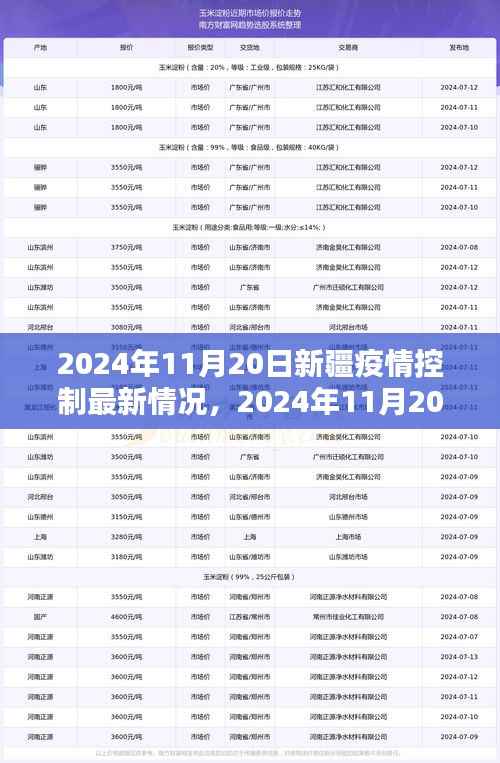 新疆疫情控制最新情况详解,一步步了解与应对