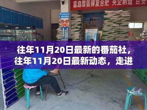 番茄社最新动态揭秘,走进奇妙世界的探索之旅