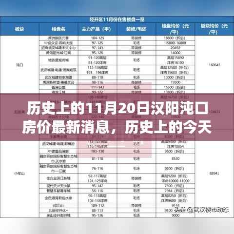 历史上的今天与未来,汉阳沌口房价变迁背后的励志故事及最新消息发布日期——历史上的11月20日最新房价动态