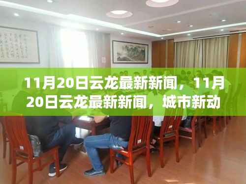 11月20日云龙最新新闻,11月20日云龙最新新闻,城市新动态与热点事件回顾