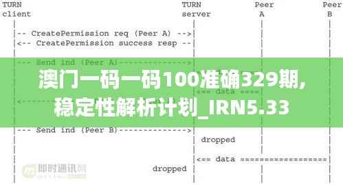 澳门一码一码100准确329期,稳定性解析计划_IRN5.33