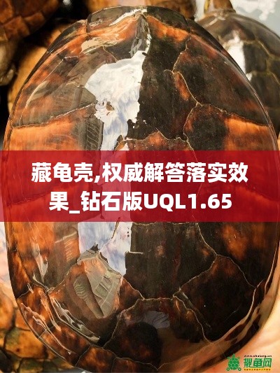 danpiaolouxiang 第18页