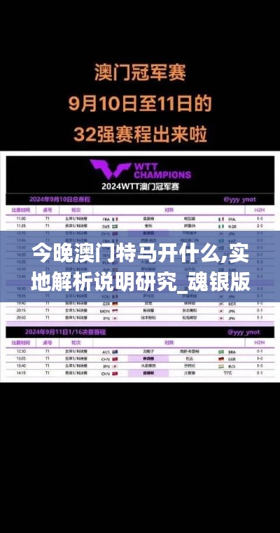 今晚澳门特马开什么,实地解析说明研究_魂银版SHO3.70