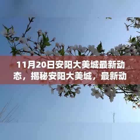 揭秘安阳大美城最新动态,深度解读与最新资讯(11月20日更新)