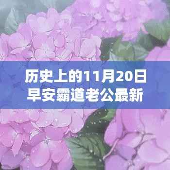 历史上的11月20日早安霸道老公最新章节,早安!历史上的那些自然美景之旅,11月20日的霸道老公与心灵之旅