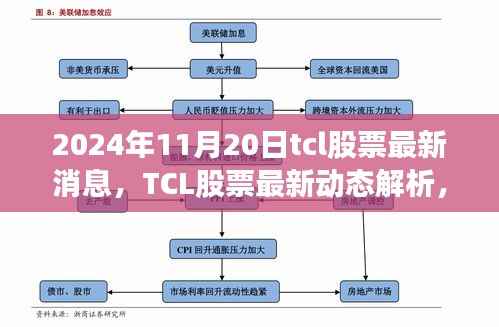 TCL股票最新动态解析,聚焦机遇与挑战的日期(2024年11月20日)