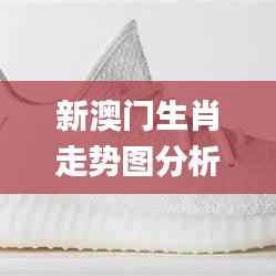 新澳门生肖走势图分析,全面探讨解答解释路径_理财版VJW1.30