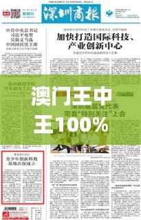 澳门王中王100%期期中一期,创新性方案解析计划_个性版YKZ8.77