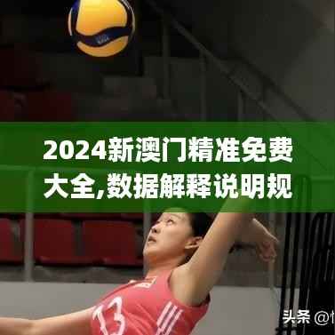 2024新澳门精准免费大全,数据解释说明规划_外观版MHD3.47