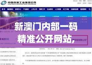 新澳门内部一码精准公开网站,实时信息说明解析_领航版ZHP4.53