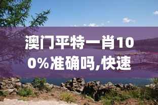 澳门平特一肖100%准确吗,快速整合方案实施_动态版DKM5.79