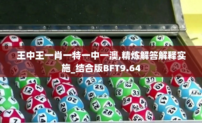 王中王一肖一特一中一澳,精炼解答解释实施_结合版BFT9.64