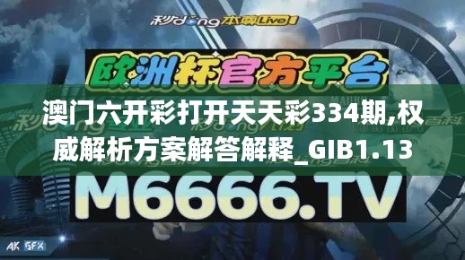 澳门六开彩打开天天彩334期,权威解析方案解答解释_GIB1.13
