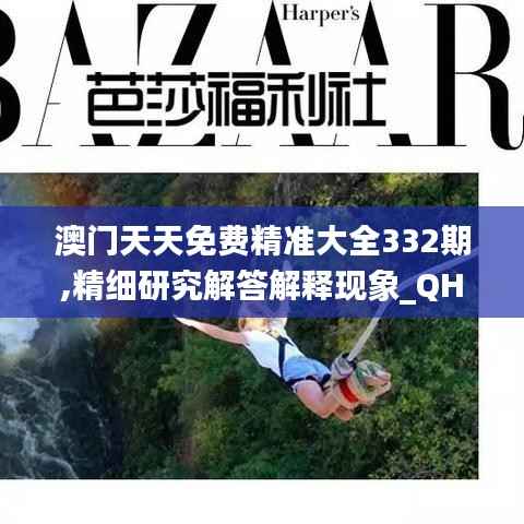 澳门天天免费精准大全332期,精细研究解答解释现象_QHE4.25