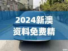 2024新澳资料免费精准051,详情执行数据安援_CLA3.92