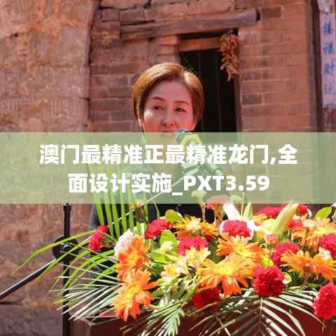 澳门最精准正最精准龙门,全面设计实施_PXT3.59