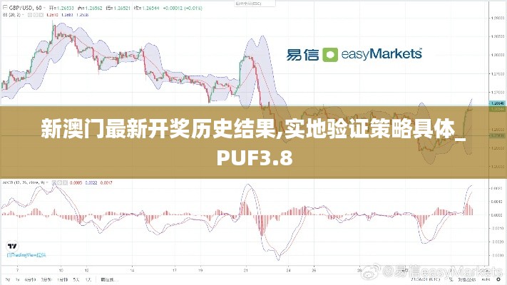 新澳门最新开奖历史结果,实地验证策略具体_PUF3.8