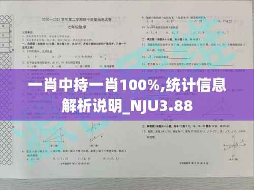 一肖中持一肖100%,统计信息解析说明_NJU3.88
