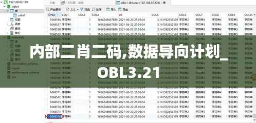 内部二肖二码,数据导向计划_OBL3.21