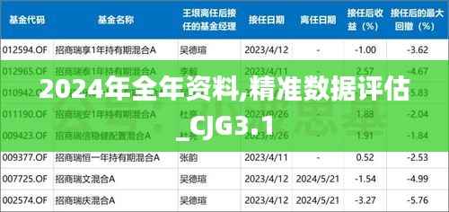2024年全年资料,精准数据评估_CJG3.1