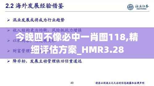 今晚四不像必中一肖图118,精细评估方案_HMR3.28