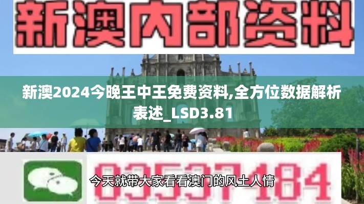 新澳2024今晚王中王免费资料,全方位数据解析表述_LSD3.81