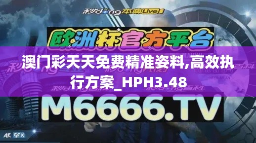 澳门彩天天免费精准姿料,高效执行方案_HPH3.48
