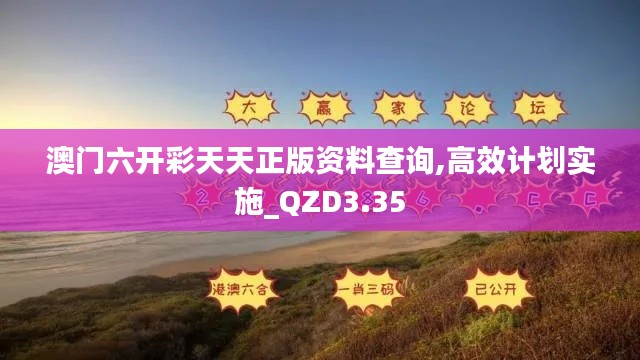 澳门六开彩天天正版资料查询,高效计划实施_QZD3.35