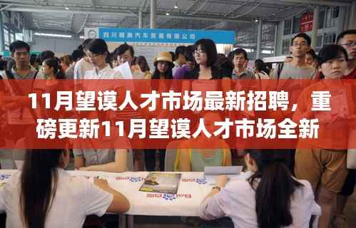 11月望谟人才市场全新招聘热潮,理想职位等你来挑战