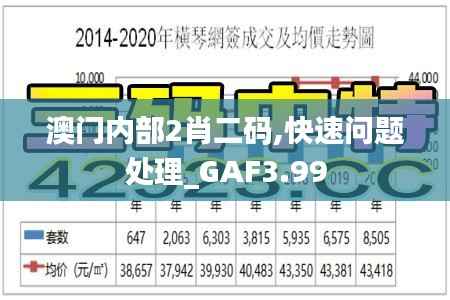 澳门内部2肖二码,快速问题处理_GAF3.99