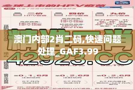 澳门内部2肖二码,快速问题处理_GAF3.99