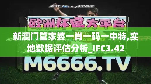 新澳门管家婆一肖一码一中特,实地数据评估分析_IFC3.42