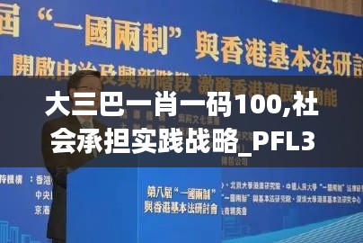 大三巴一肖一码100,社会承担实践战略_PFL3.75