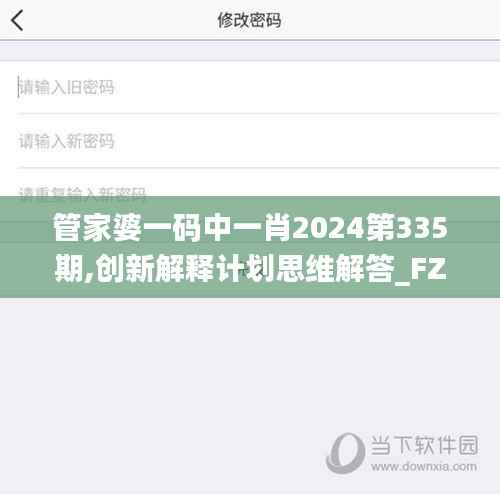 管家婆一码中一肖2024第335期,创新解释计划思维解答_FZF8.21