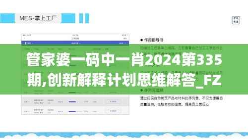 管家婆一码中一肖2024第335期,创新解释计划思维解答_FZF8.21