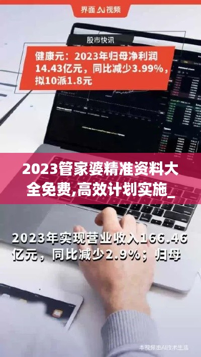 2023管家婆精准资料大全免费,高效计划实施_EER3.99