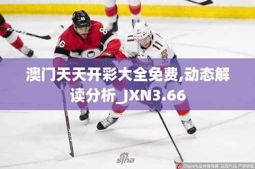 澳门天天开彩大全免费,动态解读分析_JXN3.66