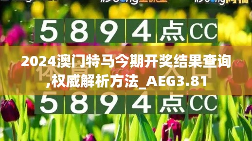 2024澳门特马今期开奖结果查询,权威解析方法_AEG3.81