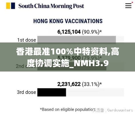 香港最准100%中特资料,高度协调实施_NMH3.9