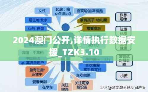 2024澳门公开,详情执行数据安援_TZK3.10