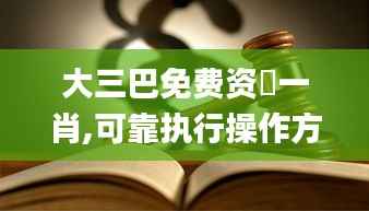 大三巴免费资枓一肖,可靠执行操作方式_CXR3.36