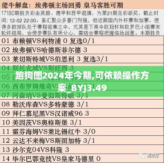 跑狗图2024年今期,可依赖操作方案_BYJ3.49