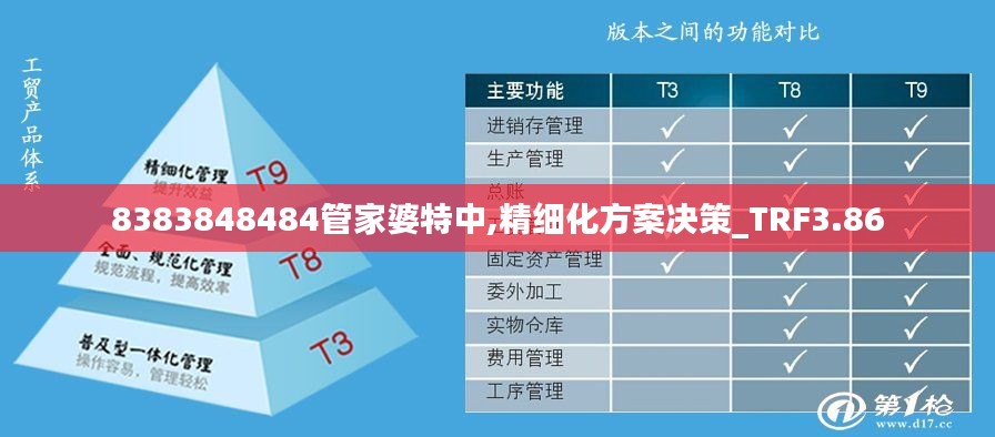 8383848484管家婆特中,精细化方案决策_TRF3.86